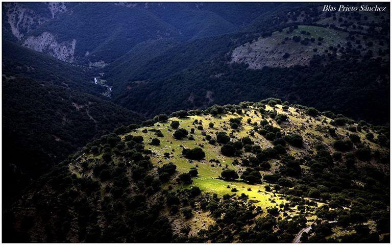 Apartamentos Turisticos Rurales Monte De Las Animas Valdepenas de Jaen Extérieur photo