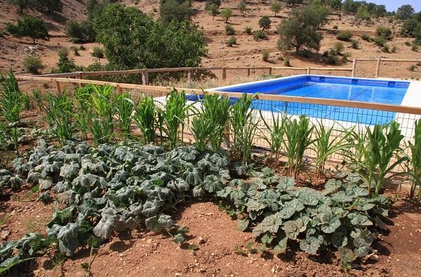 Apartamentos Turisticos Rurales Monte De Las Animas Valdepenas de Jaen Extérieur photo